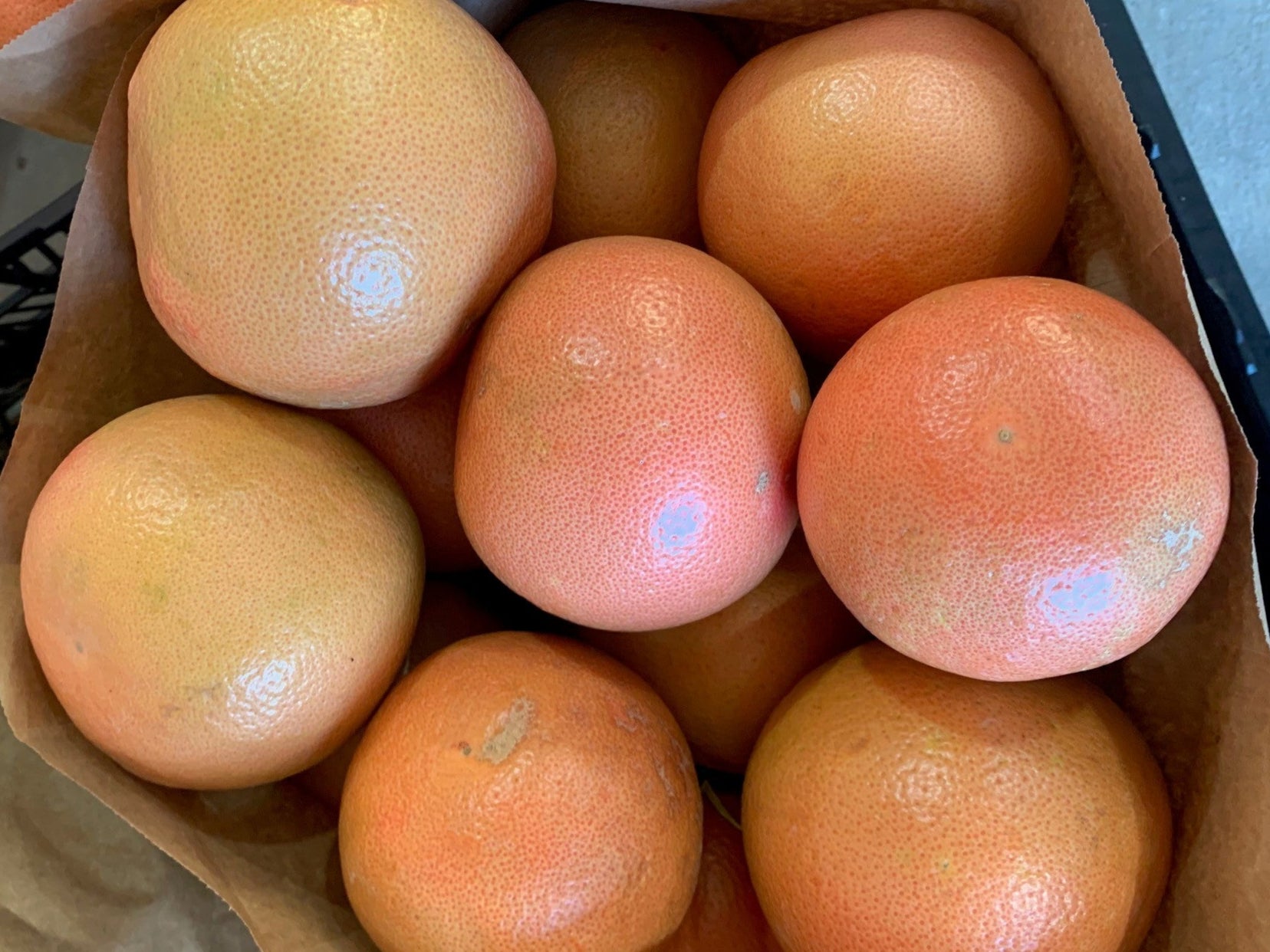 Papa's Fruit – Papa's Fruit